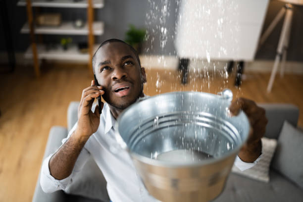 Best Water damage restoration services  in Gig Harbor, WA