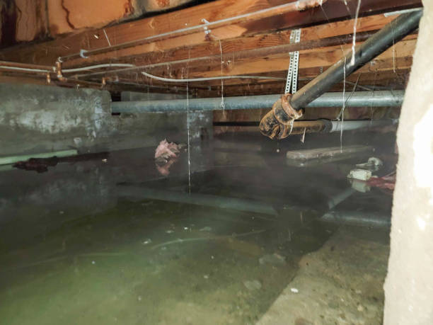 Best Emergency water damage restoration  in Gig Harbor, WA