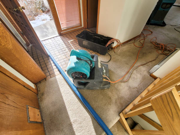 Best Flood restoration services  in Gig Harbor, WA