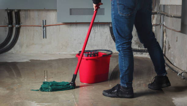 Best Water damage restoration process  in Gig Harbor, WA