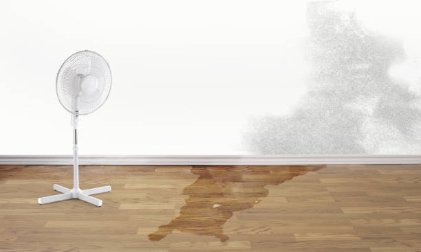 Professional Water damage restoration in WA