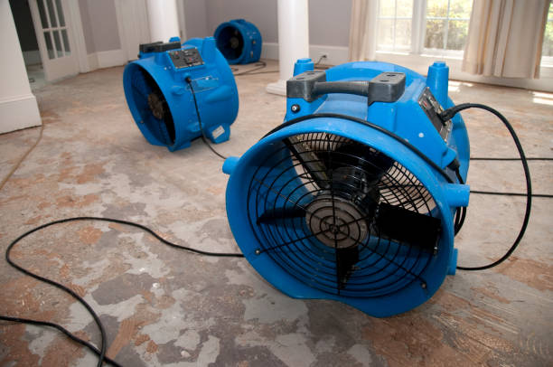  Gig Harbor, WA Water damage restoration Pros