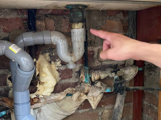 Best Water damage restoration mold remediation  in Gig Harbor, WA