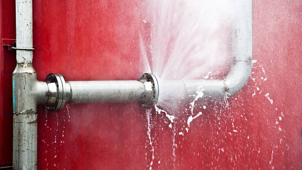 Best Water damage restoration near me  in Gig Harbor, WA